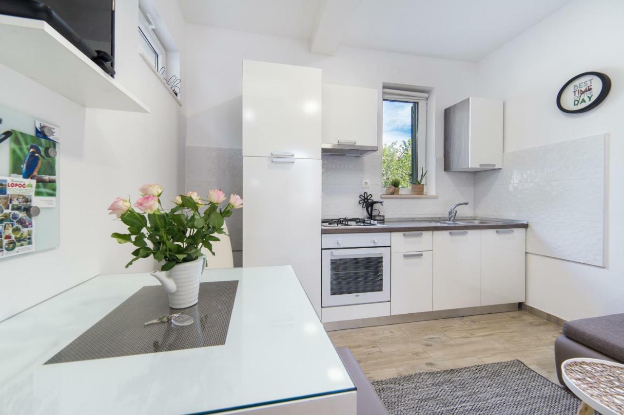 Studio Apartment Finta Rogotin Εξωτερικό φωτογραφία